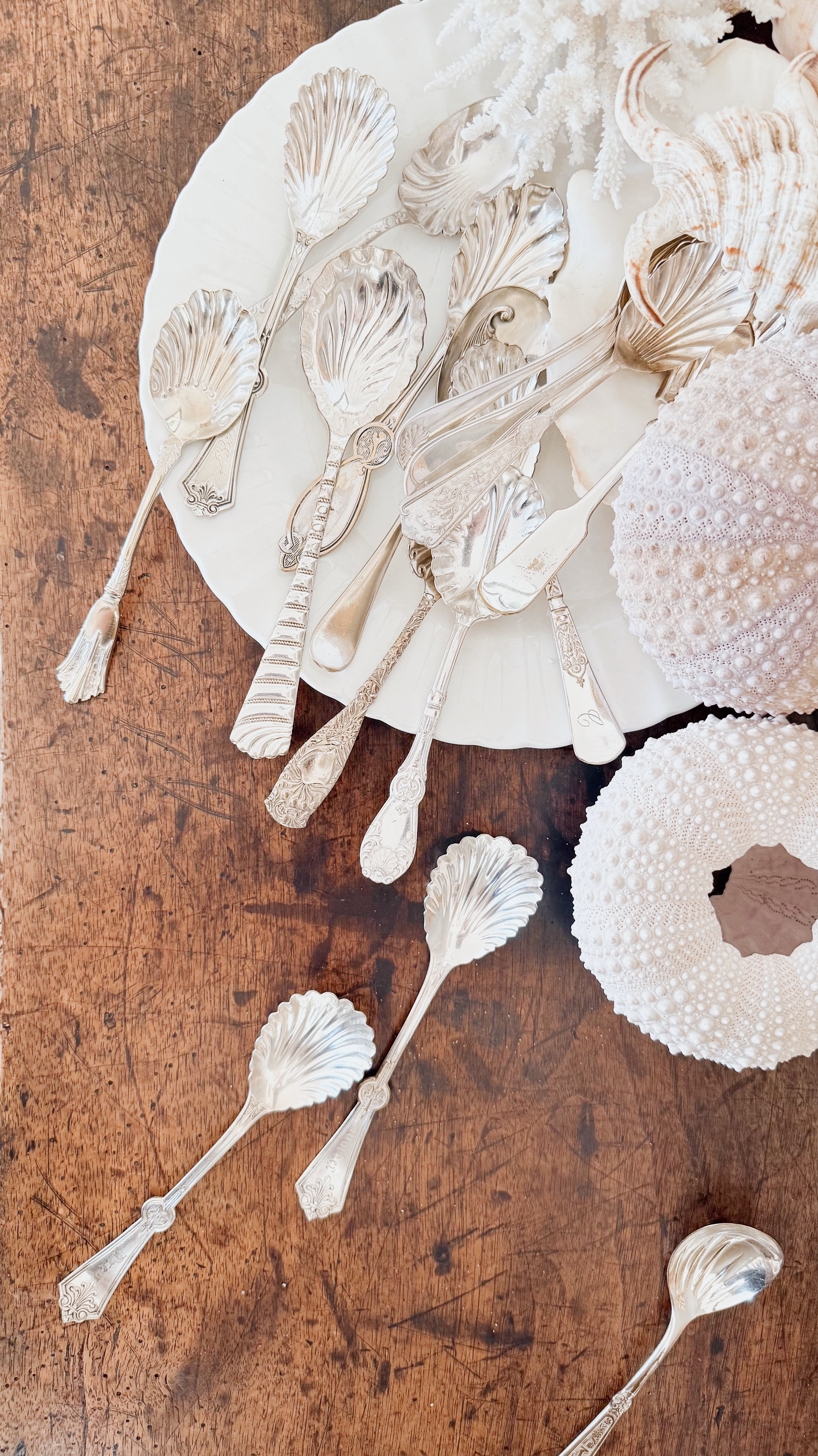 Vintage Silver Shell Spoons