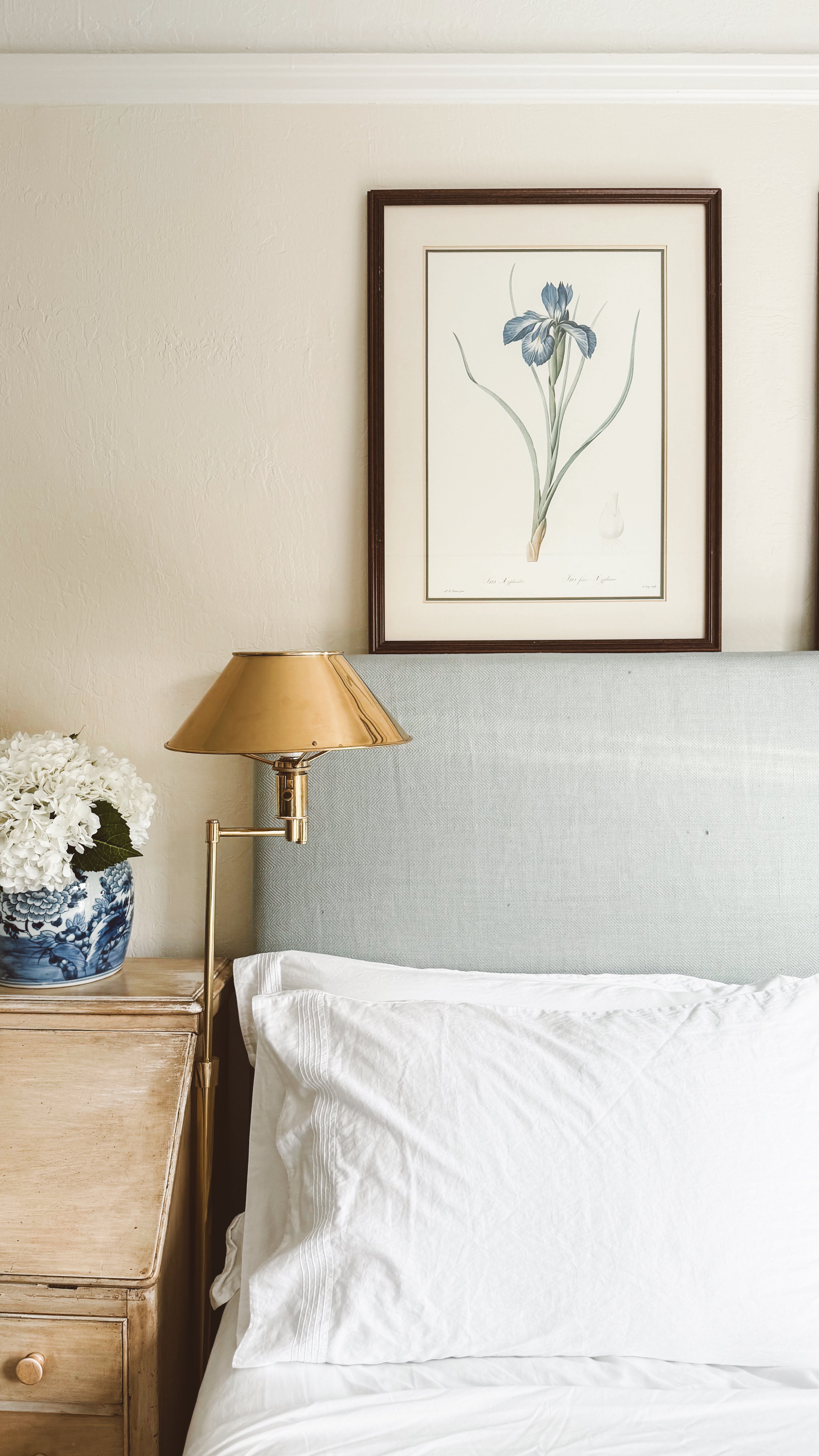 Vintage French Botanical, English Iris