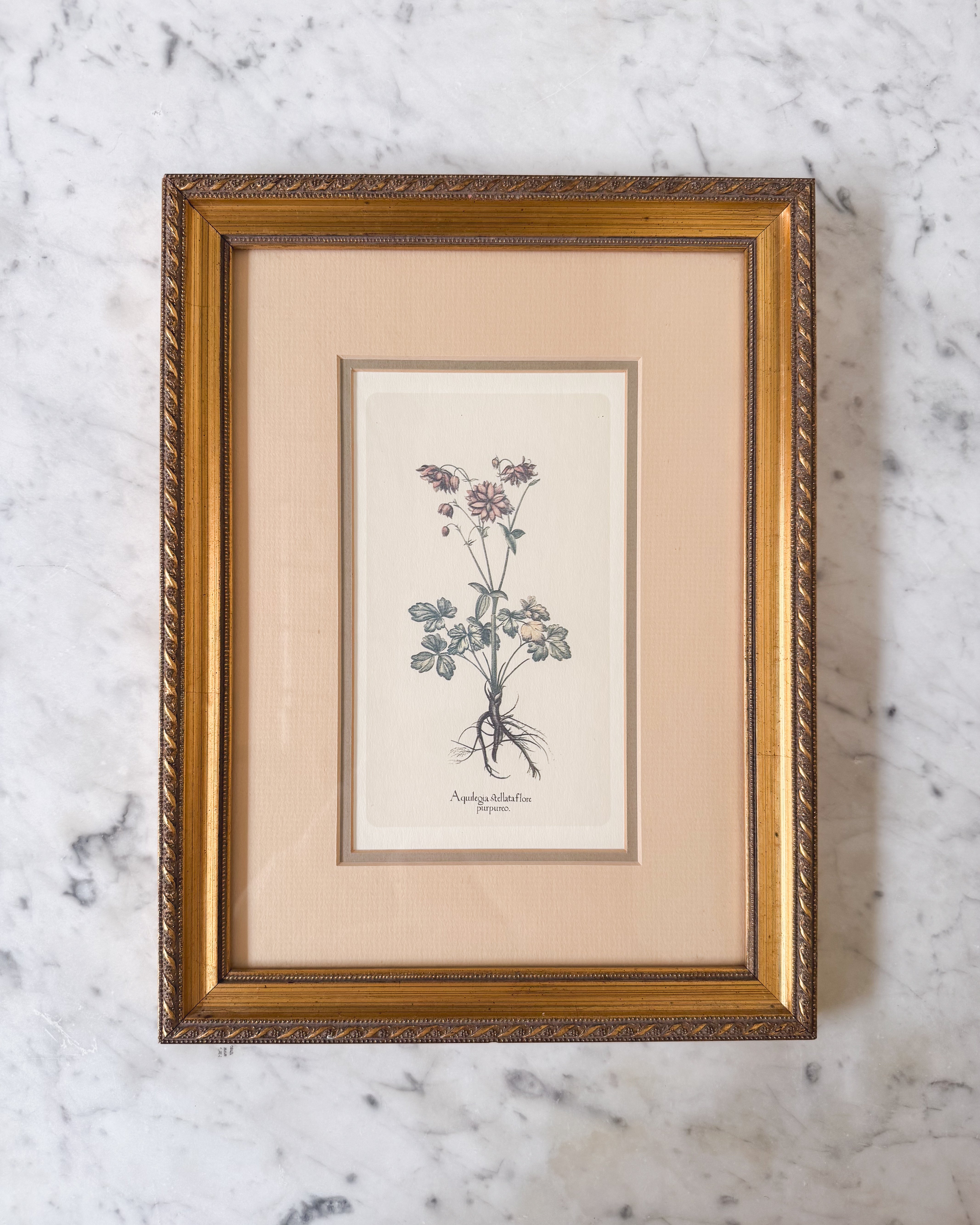 Vintage Floral Print no. 1
