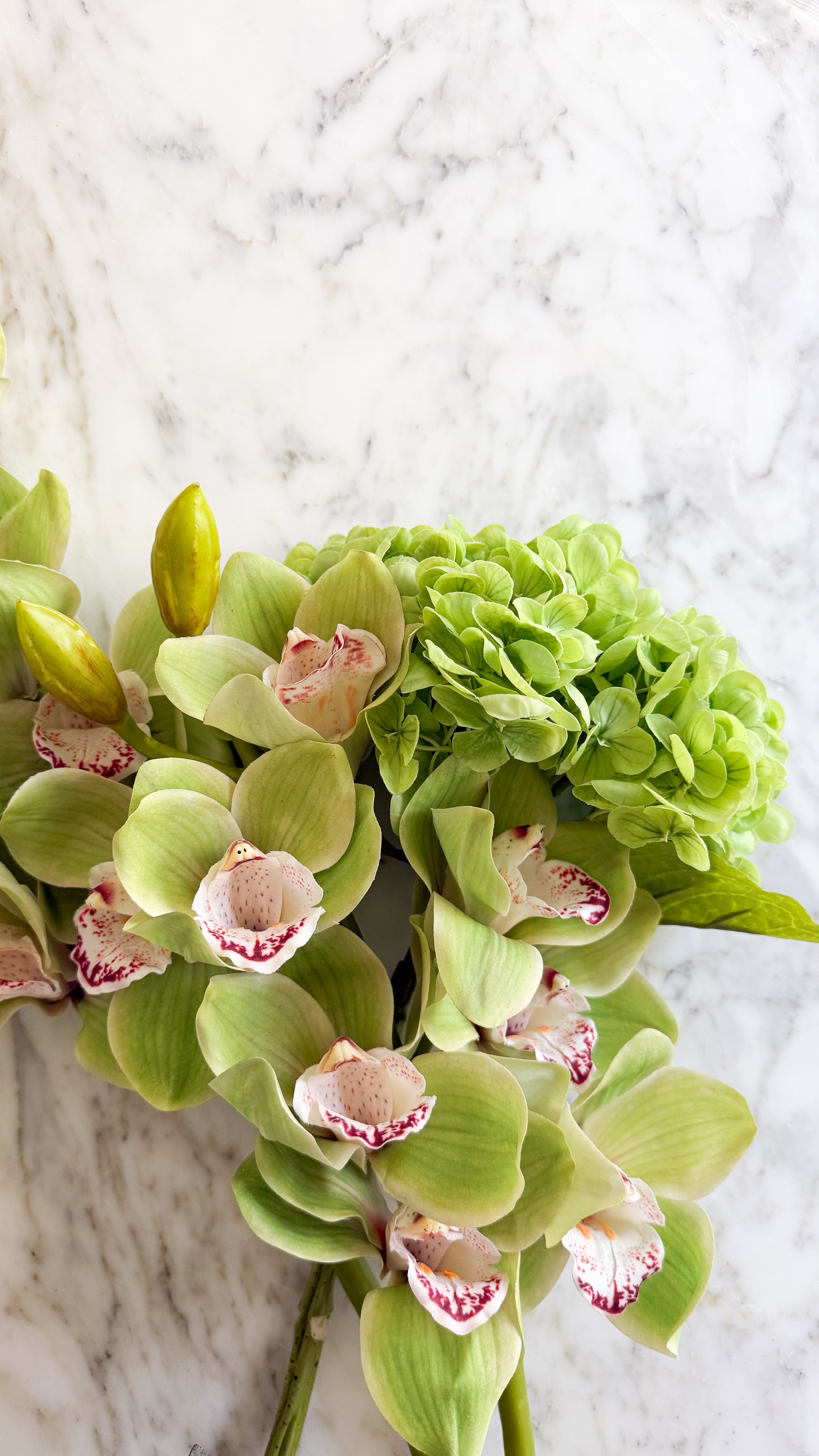 Faux Cymbidium Orchid Stem