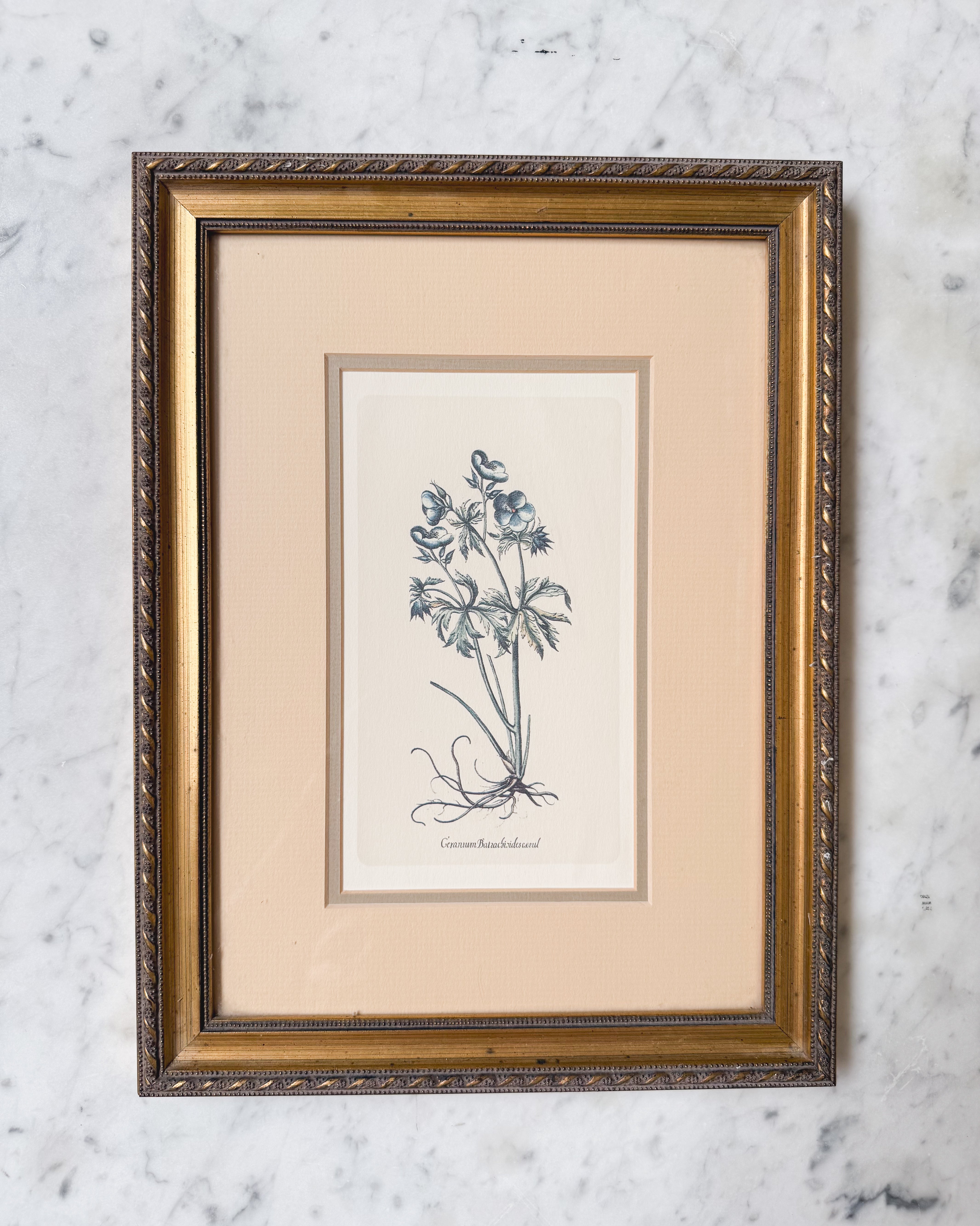 Vintage Floral Print no. 2