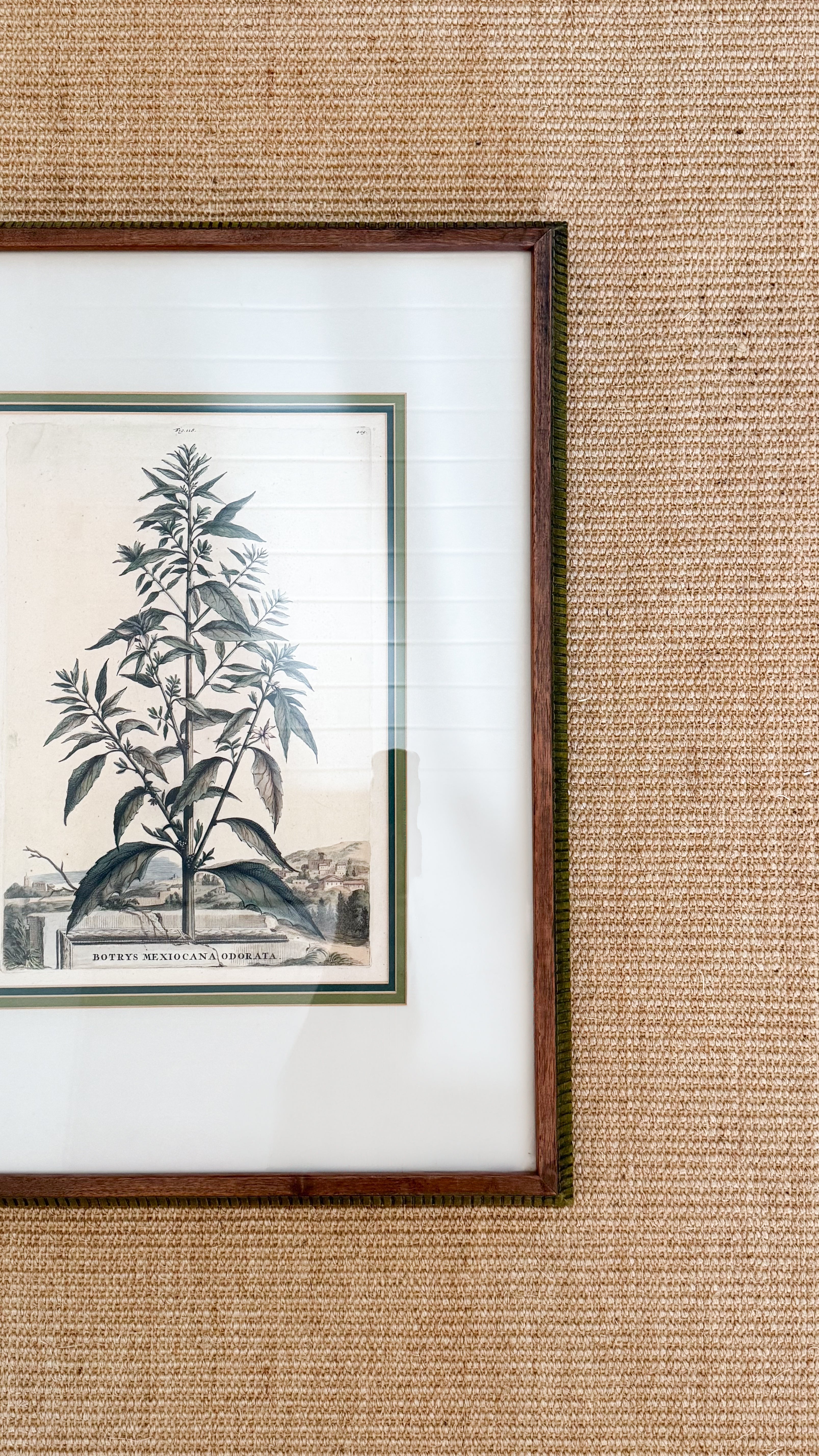 17th C European Hand-Colored Lithograph