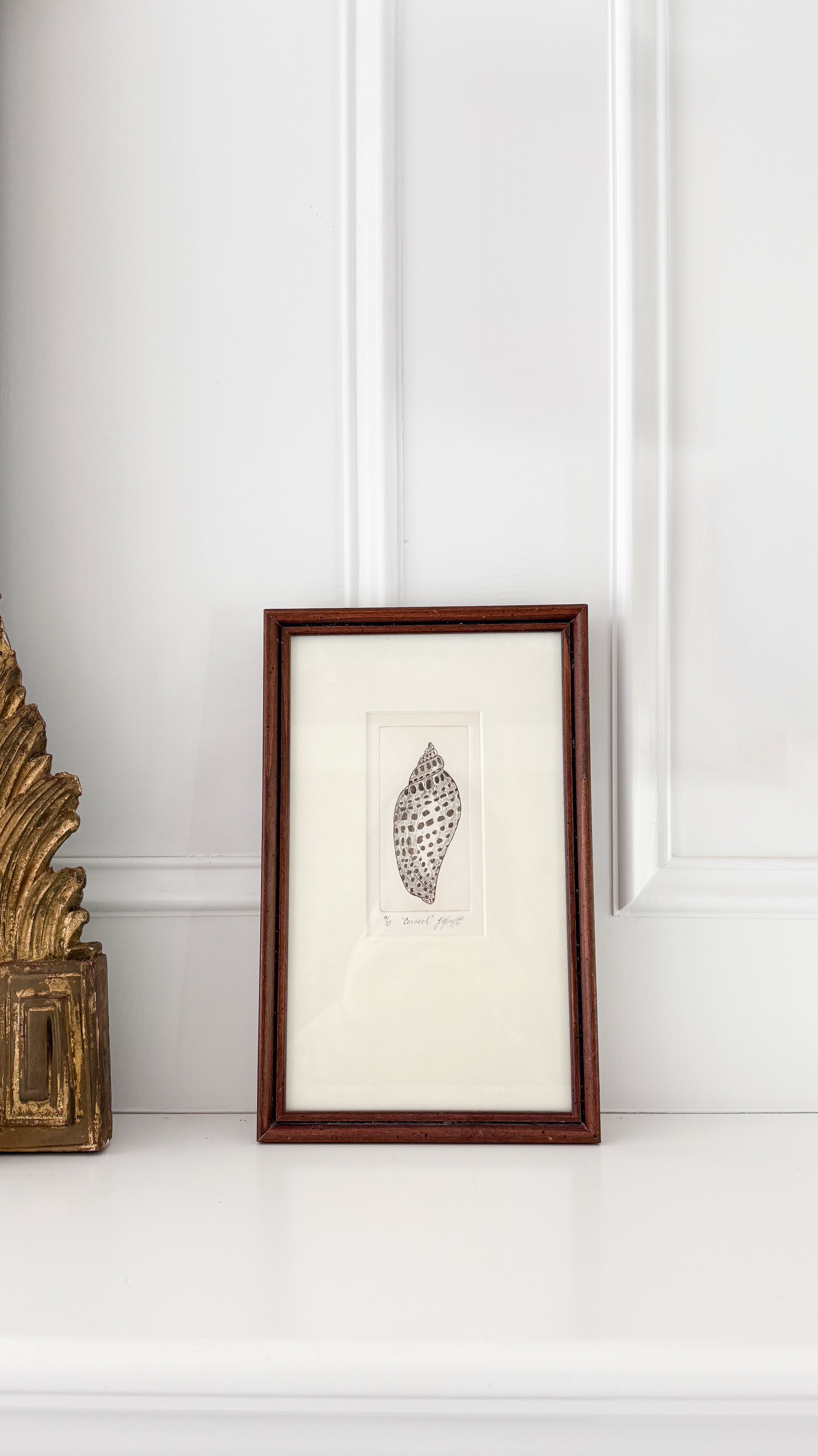Signed Vintage Shell Print