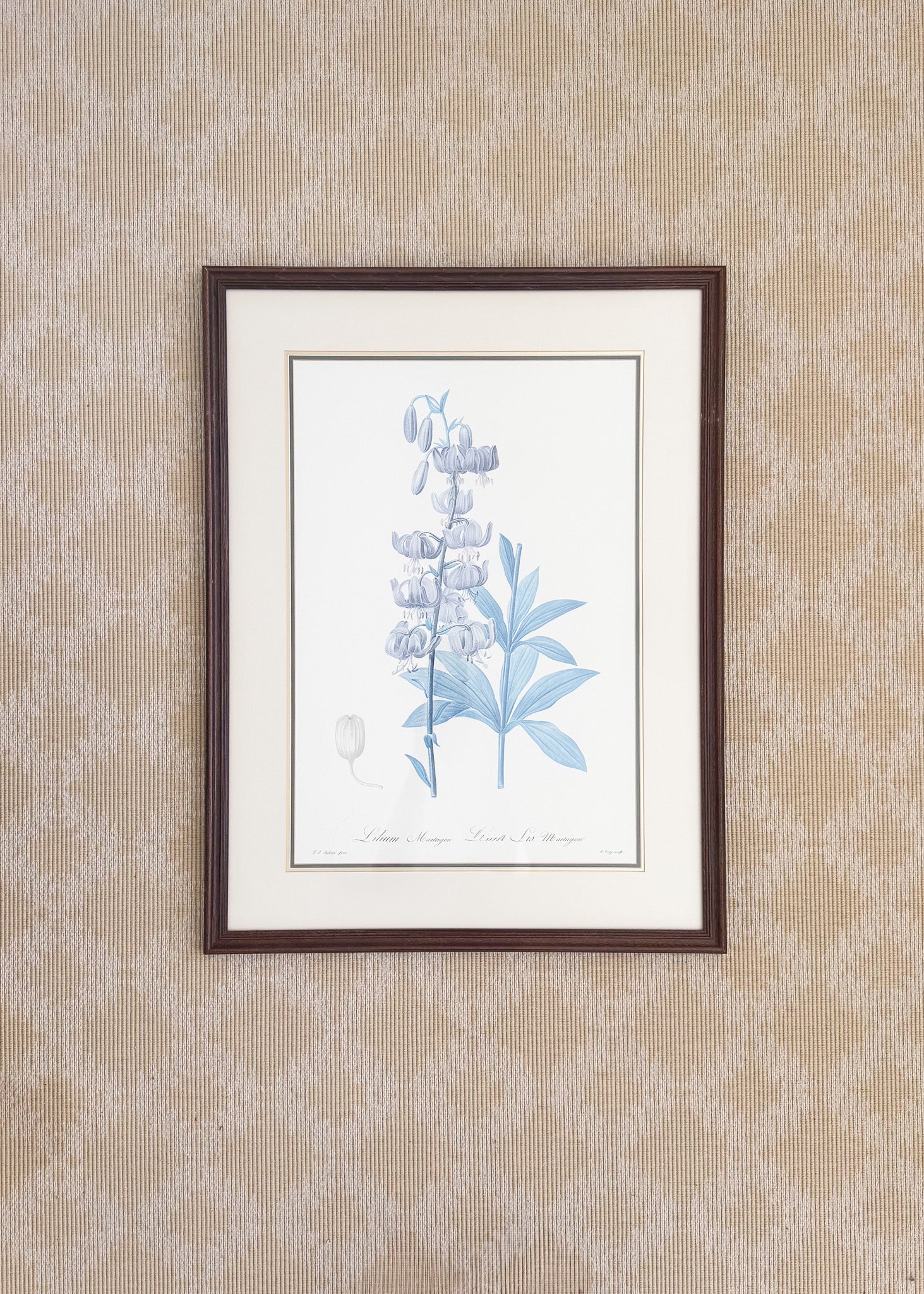 Vintage French Botanical, Lilium Martagon