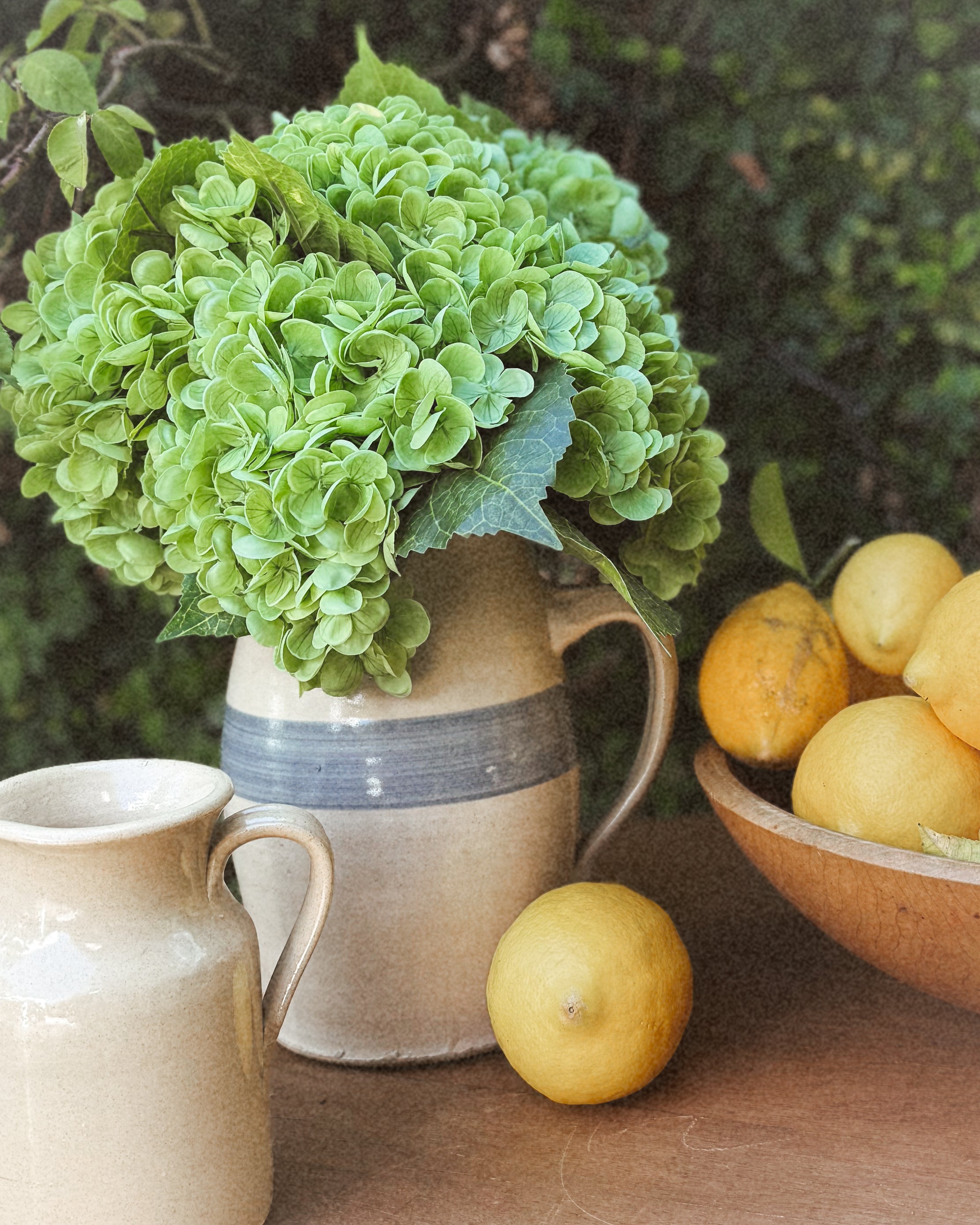 Antique stoneware pitcher used as a vase for green hydrangeas beside a bowl of lemons.