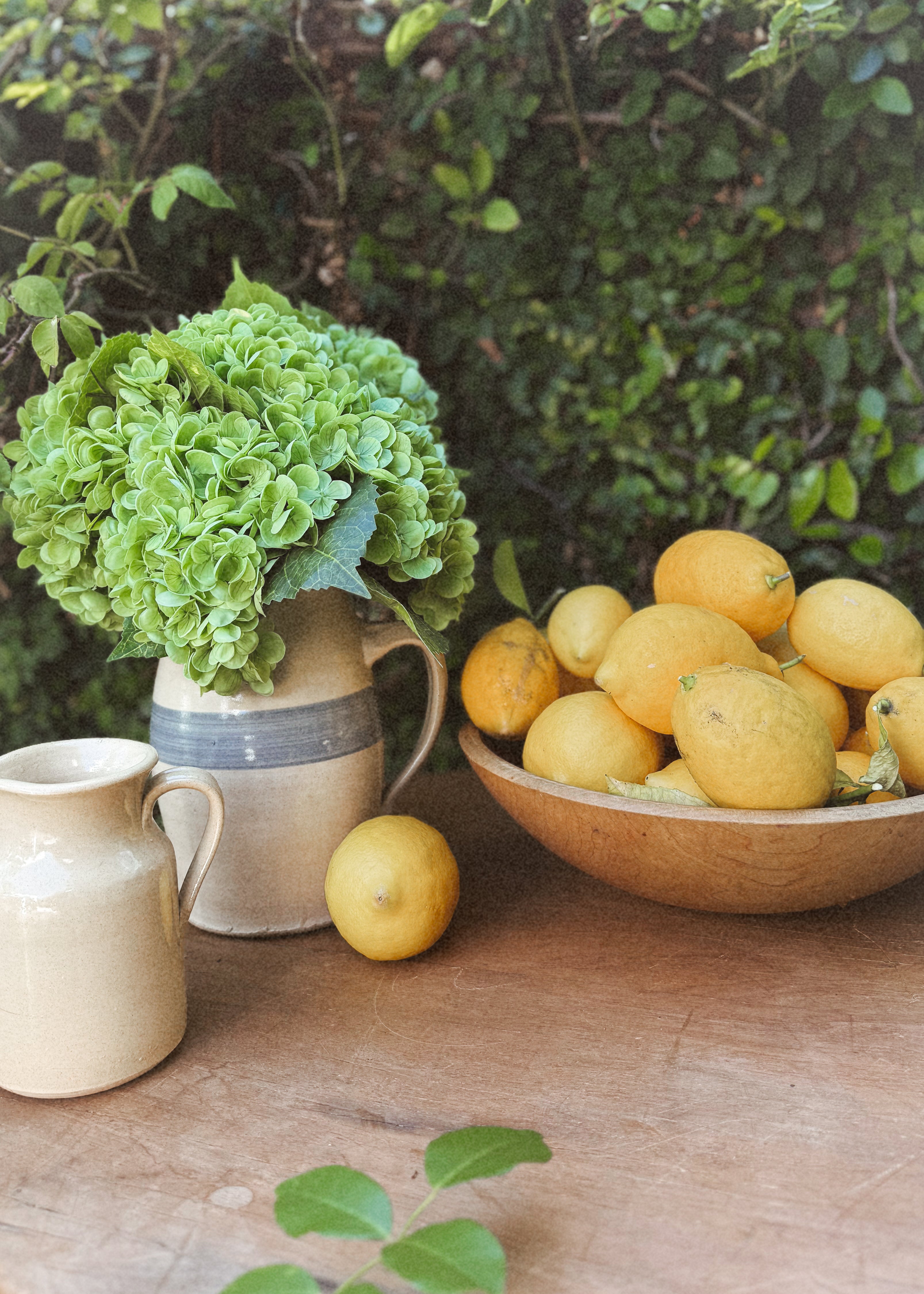 Stoneware pitchers with green hydrangeas and fresh lemons on a rustic table