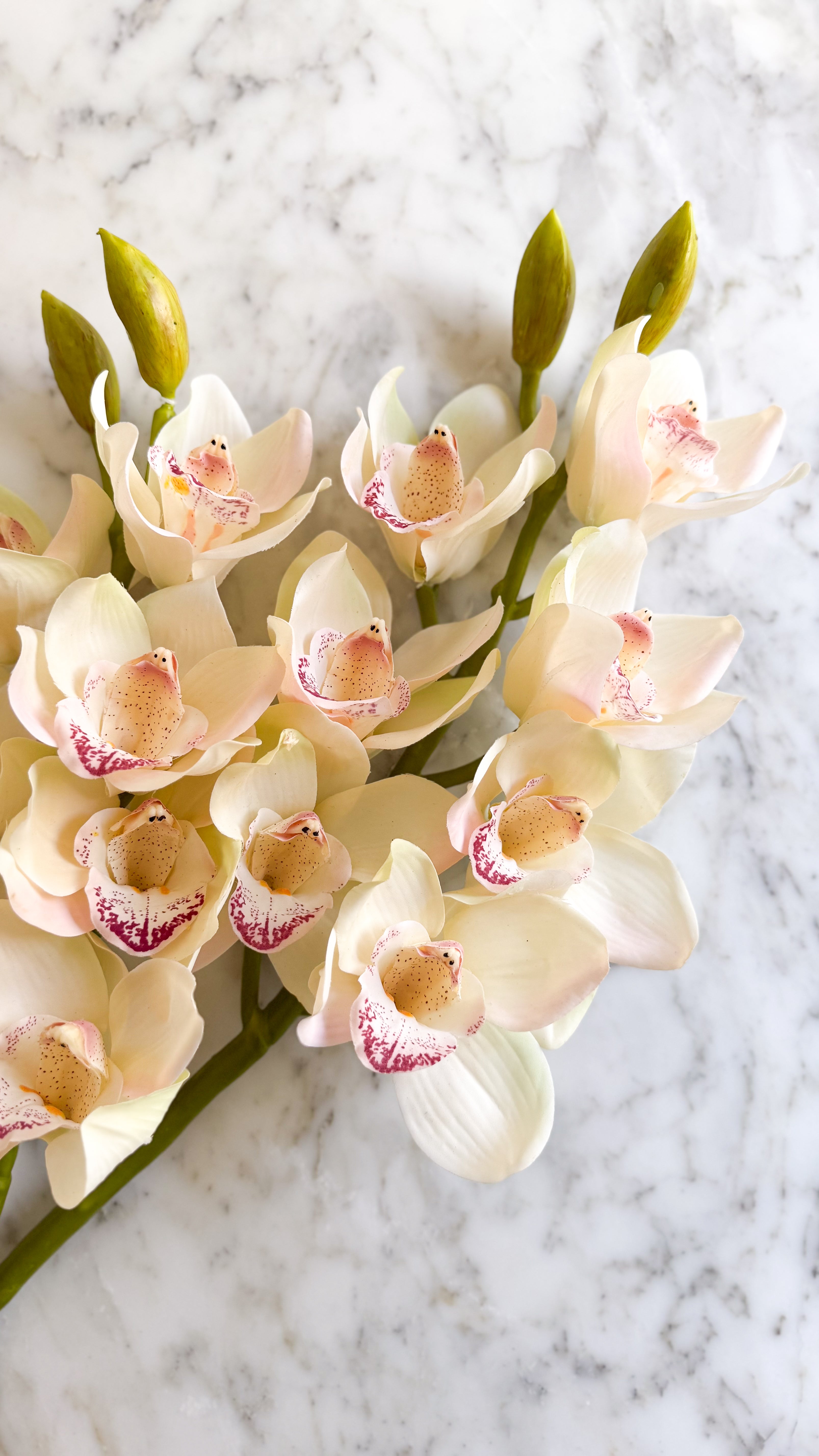 Realistic cream-colored faux orchid stem with pink bud accents on a marble surface