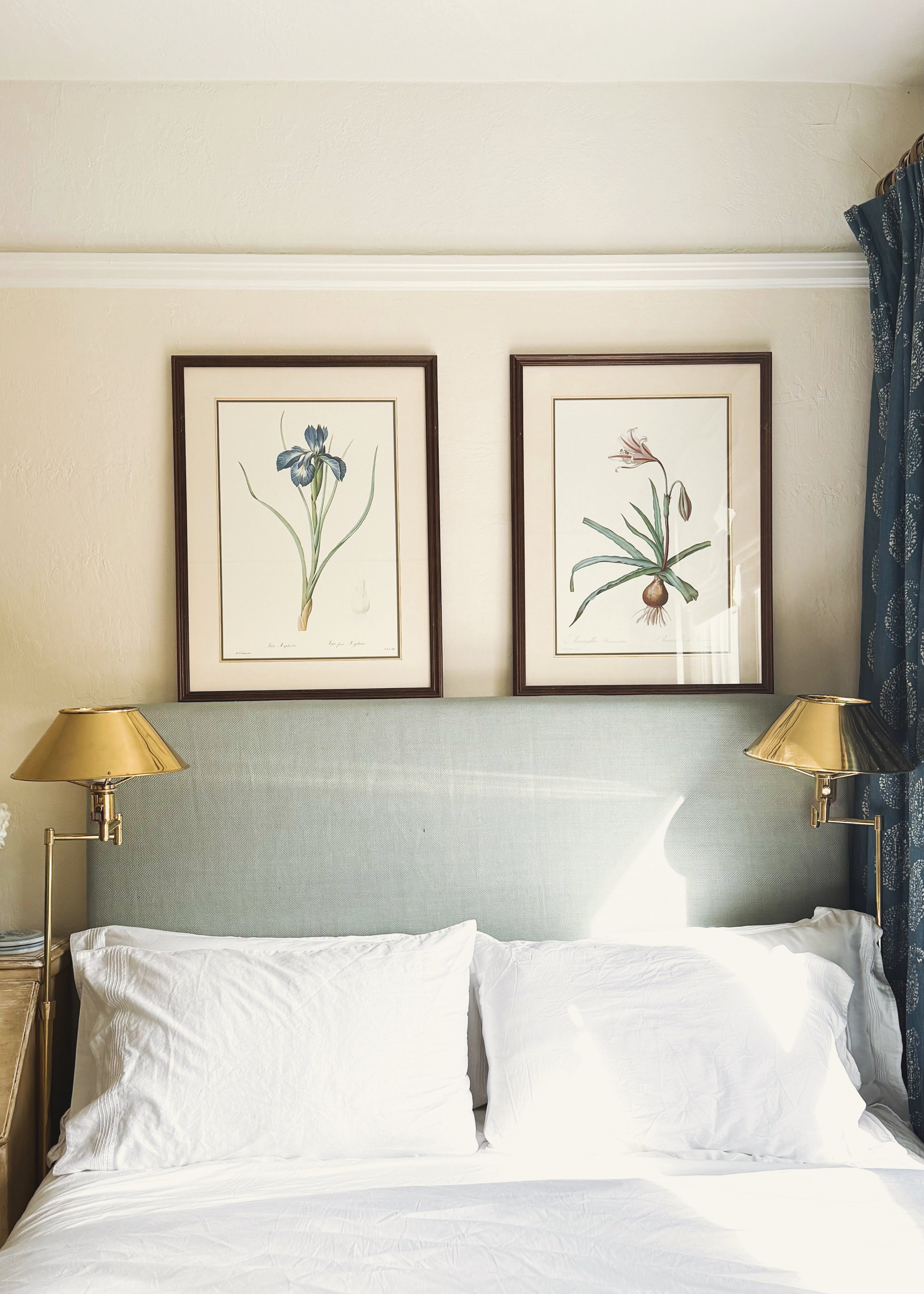 Vintage French Botanical, English Iris