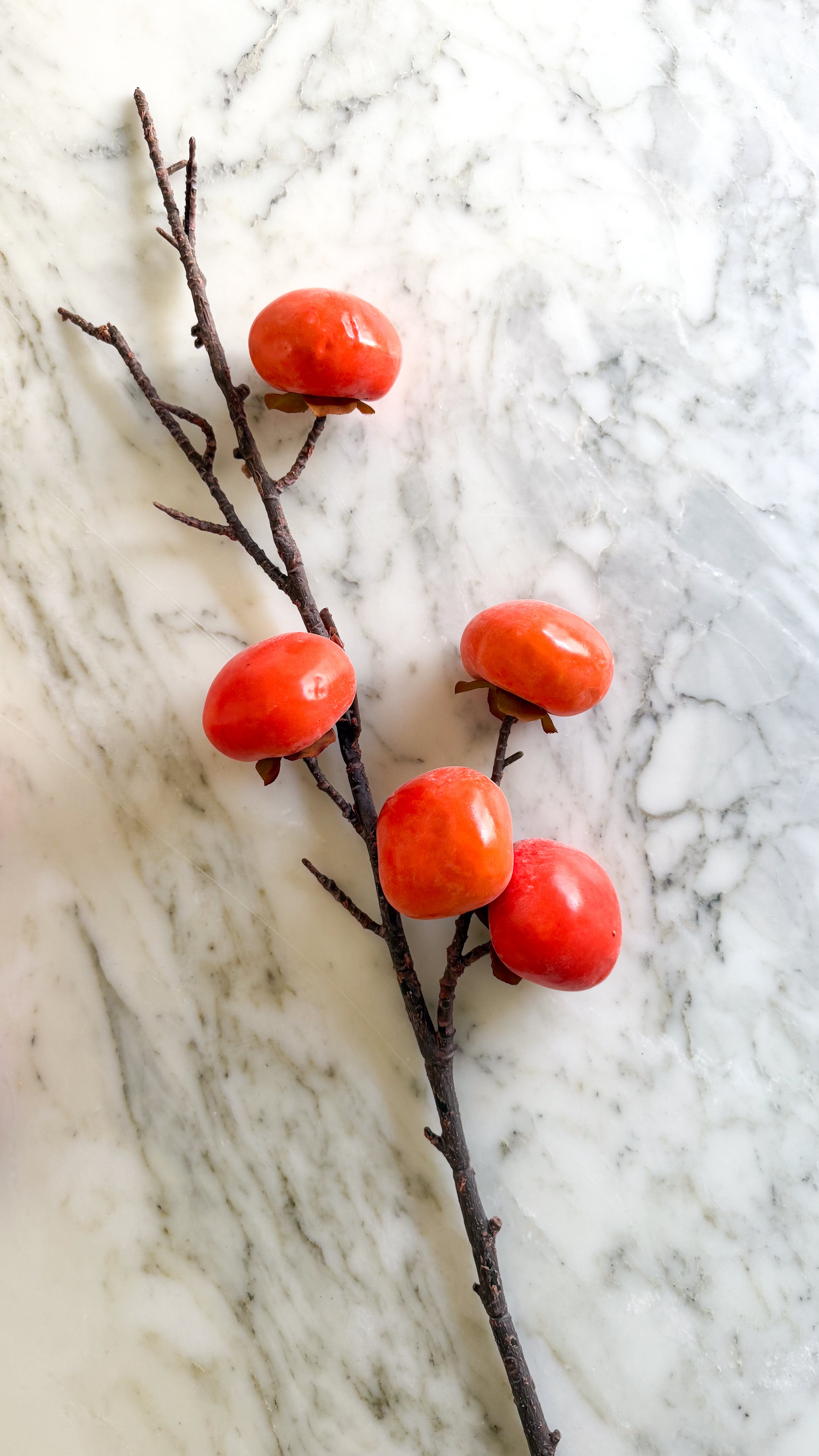 Faux Persimmon Branch