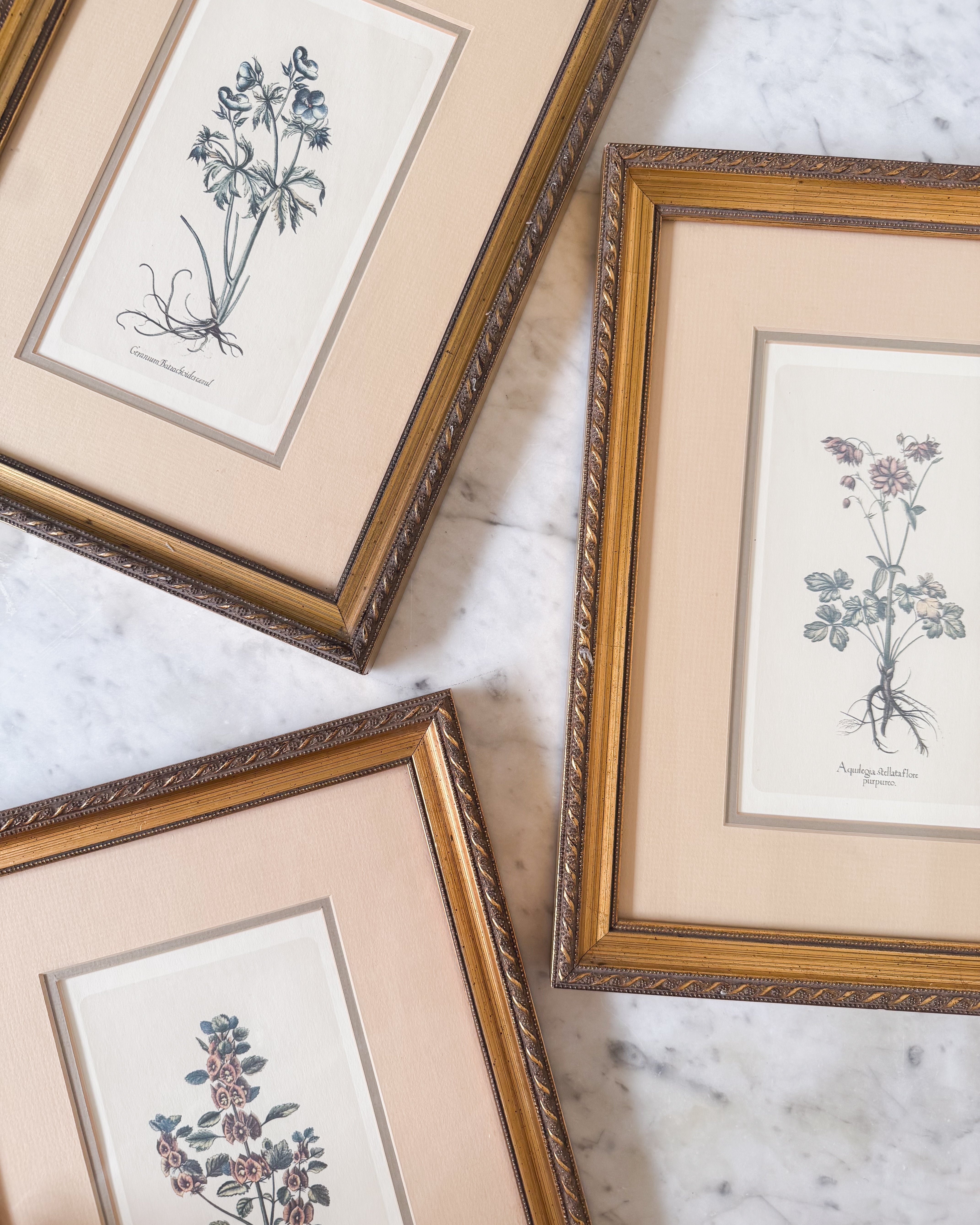 Vintage Floral Print no. 2