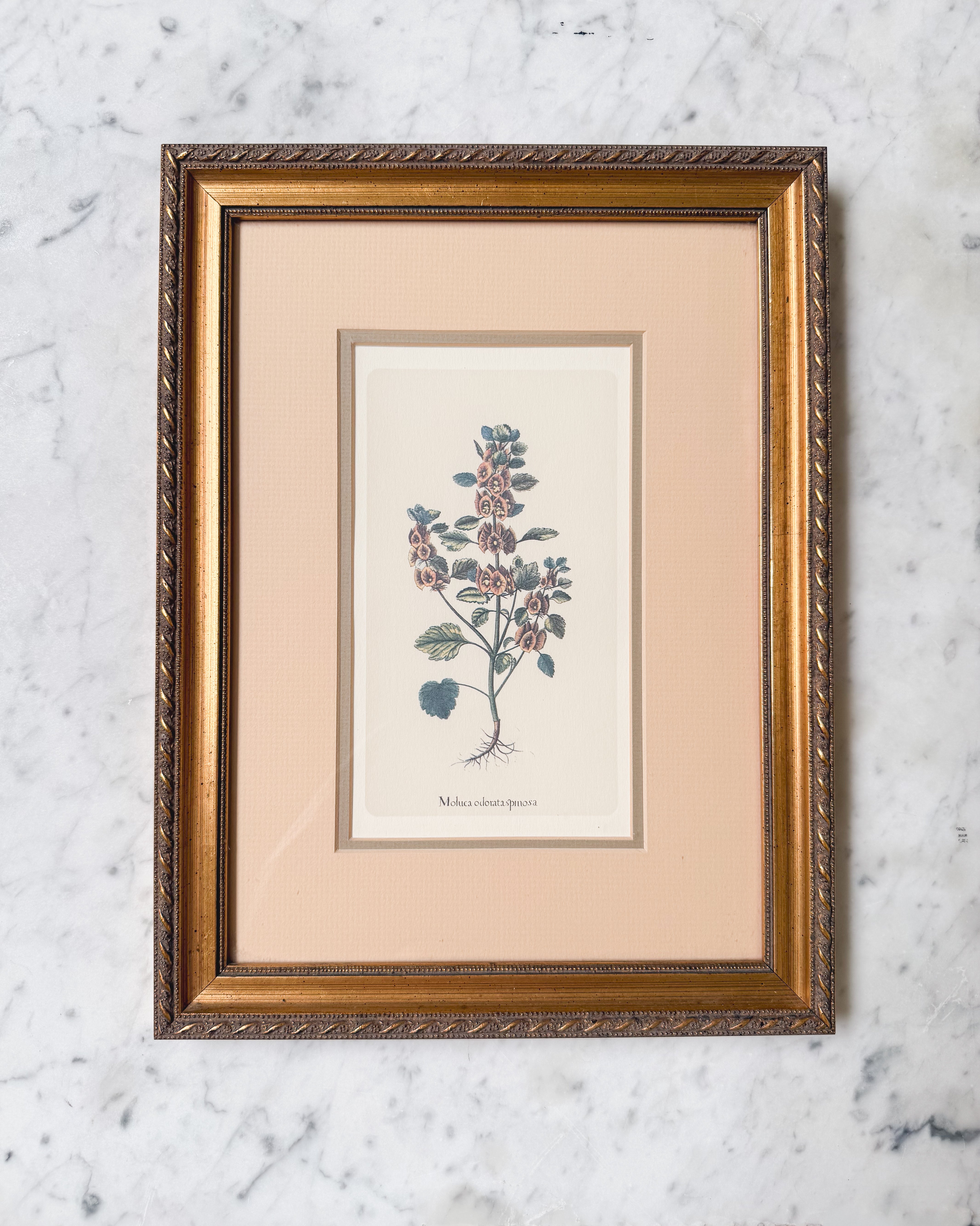 Vintage Floral Print no. 3