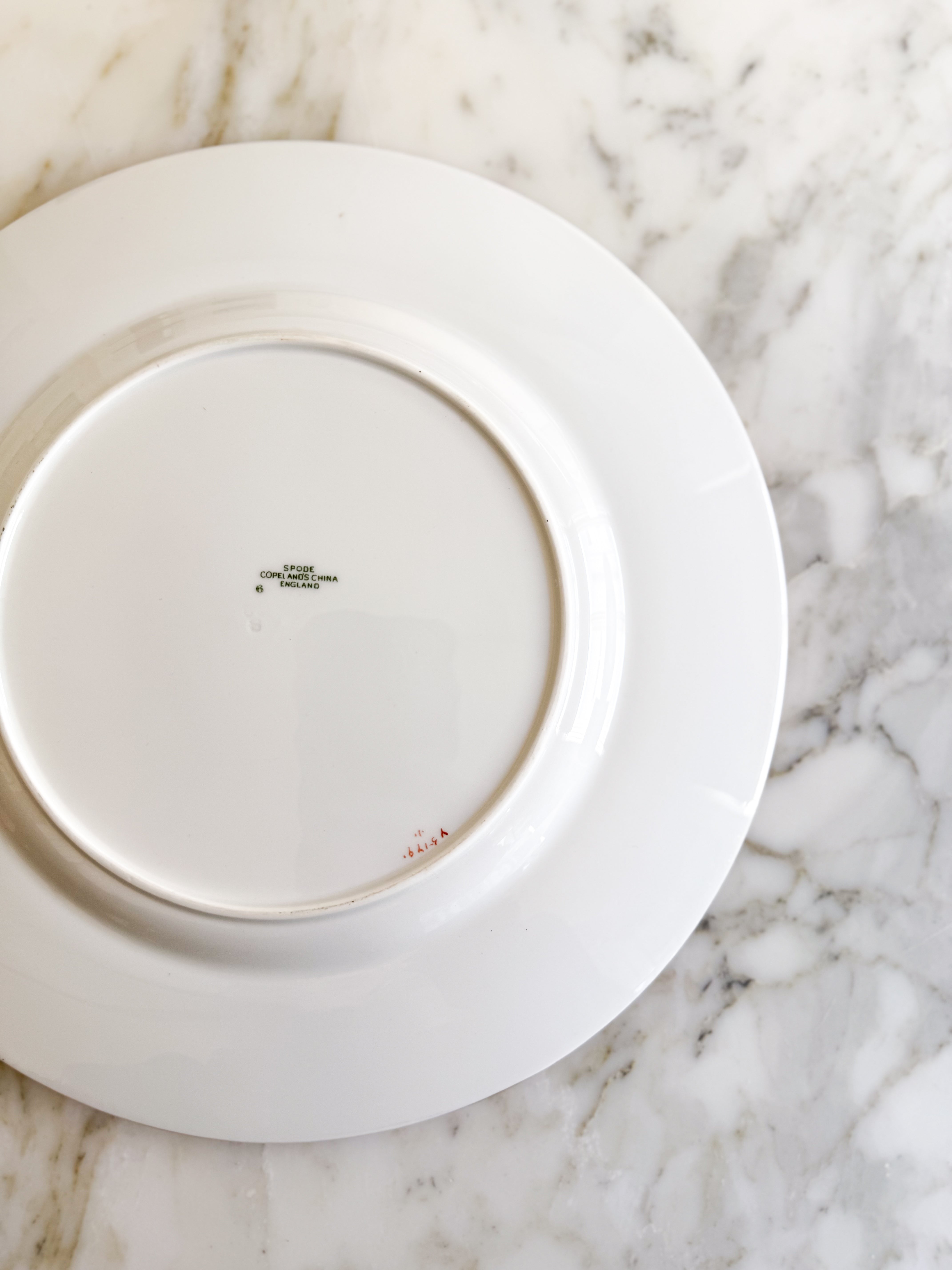 Vintage Set of 12 English Dinner Plates