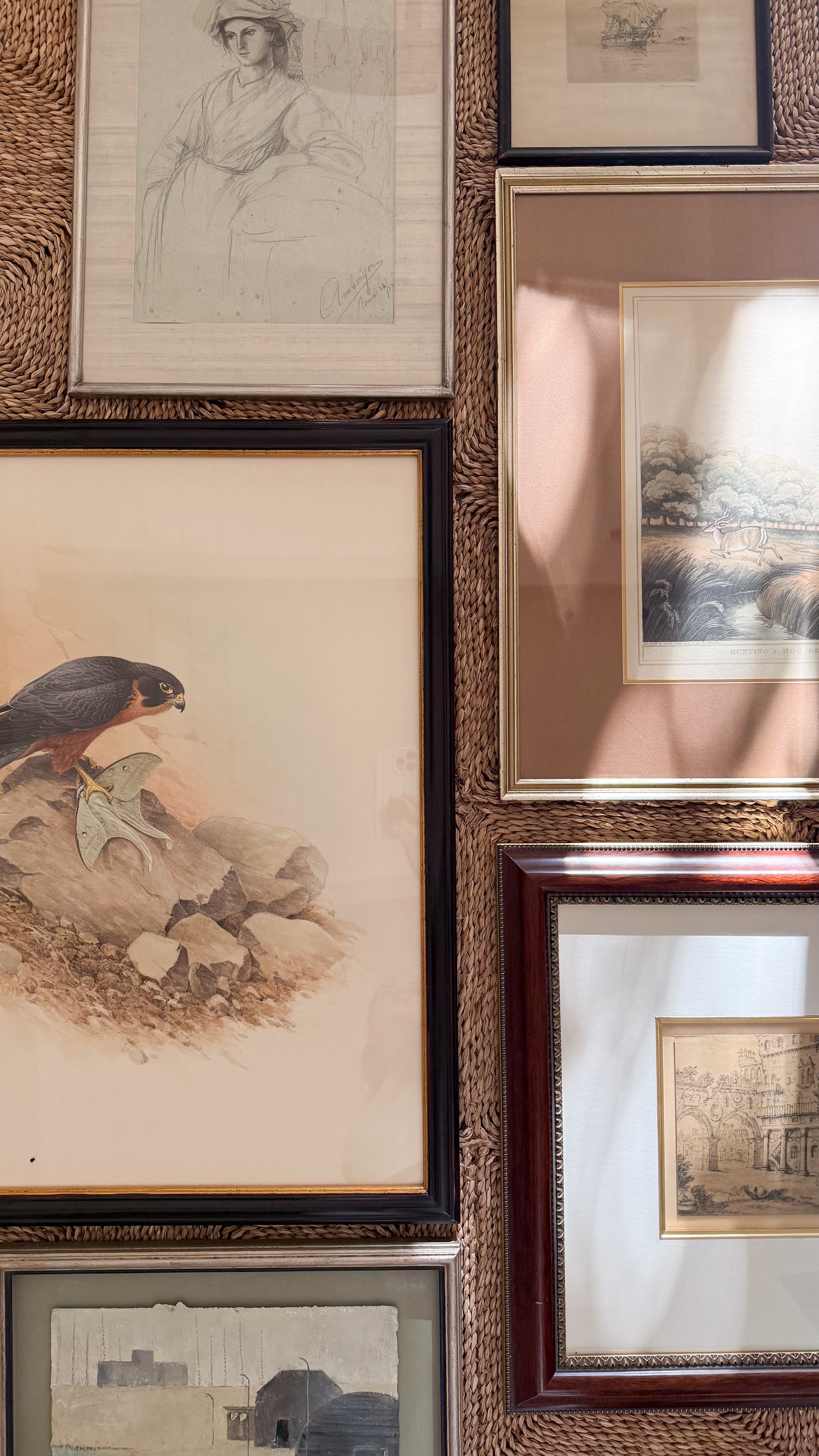 Large Vintage Limited Edition Falcon Print