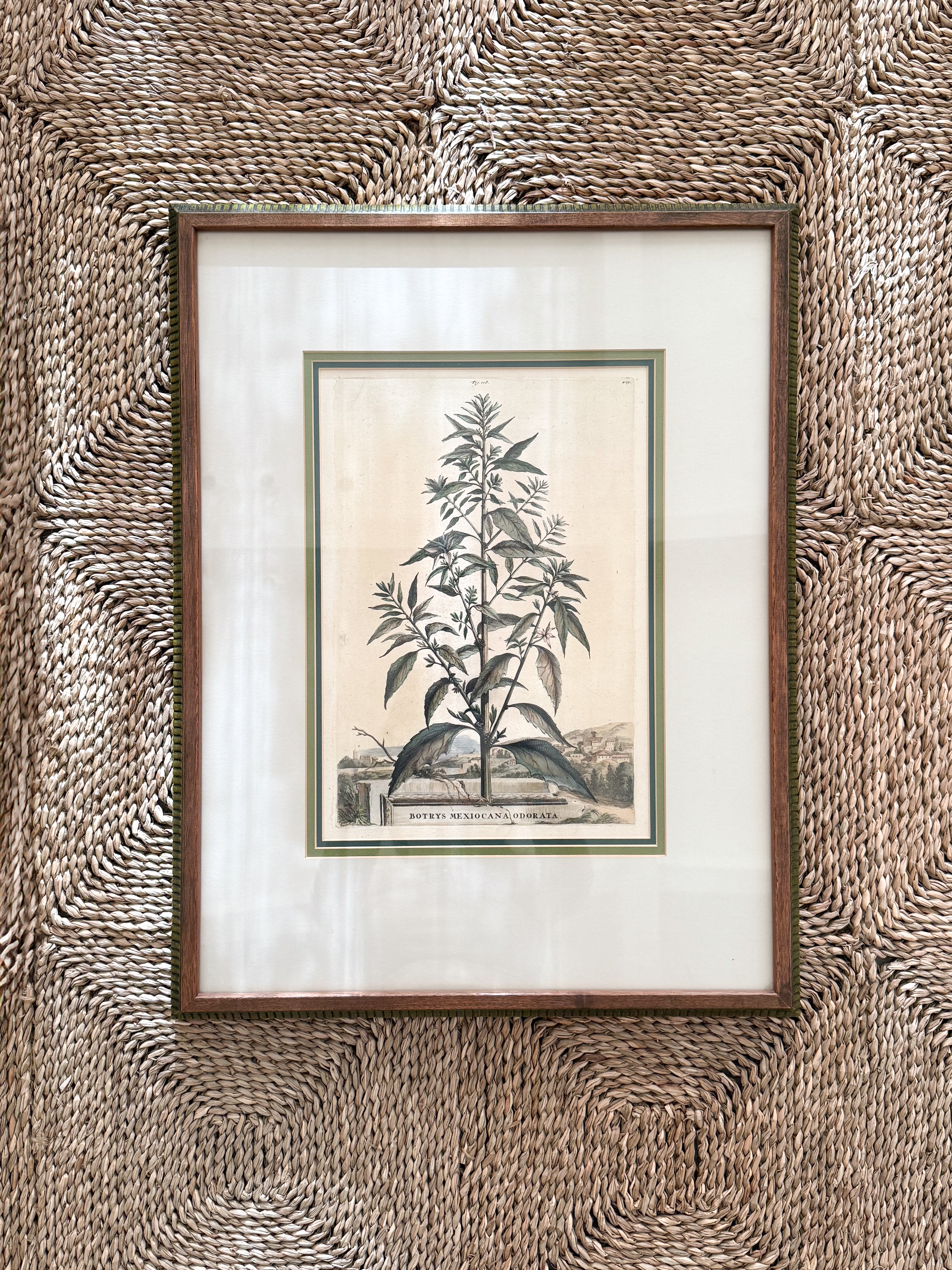 17th C European Hand-Colored Lithograph