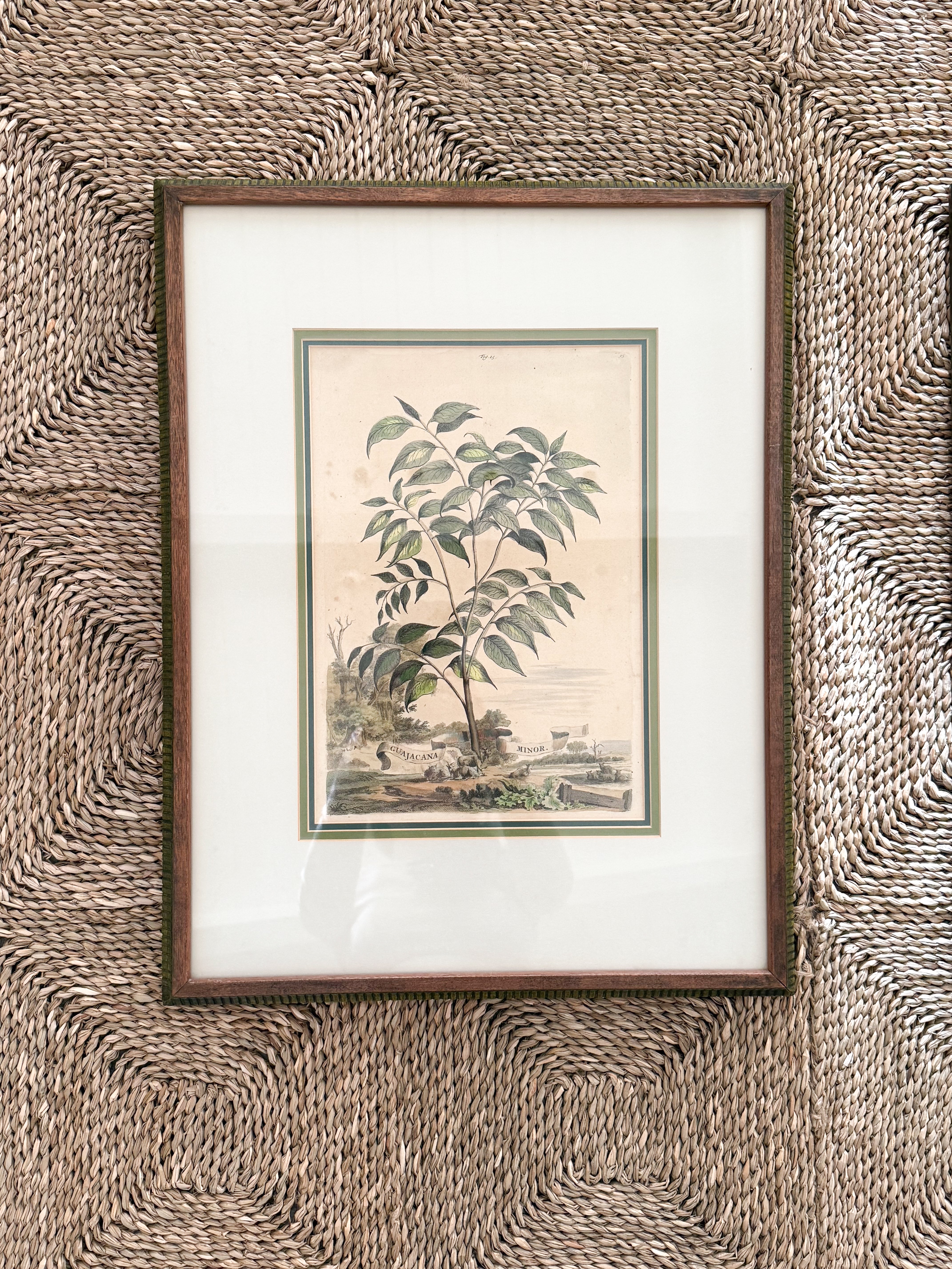 17th C European Hand-Colored Lithograph