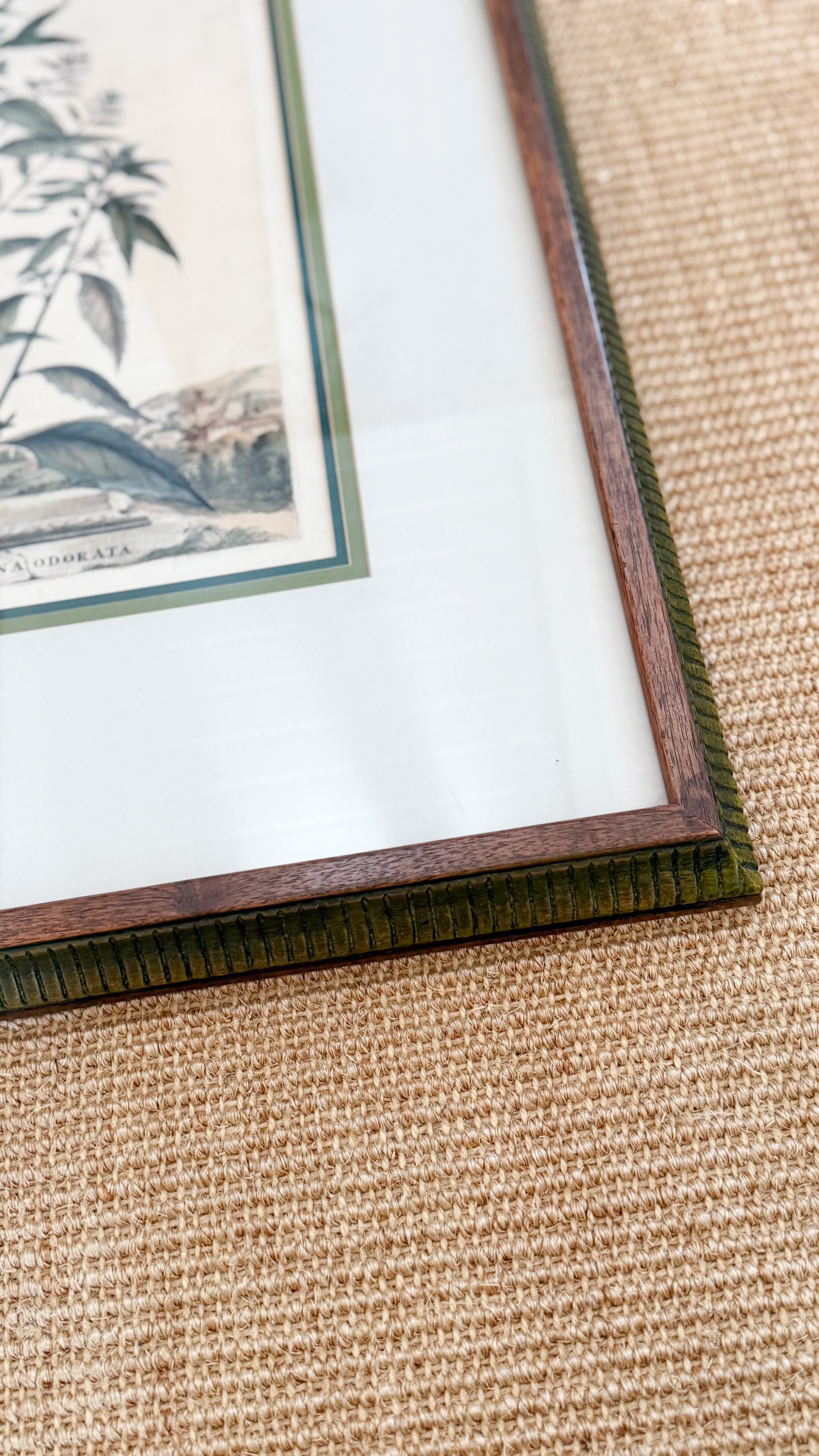 17th C European Hand-Colored Lithograph