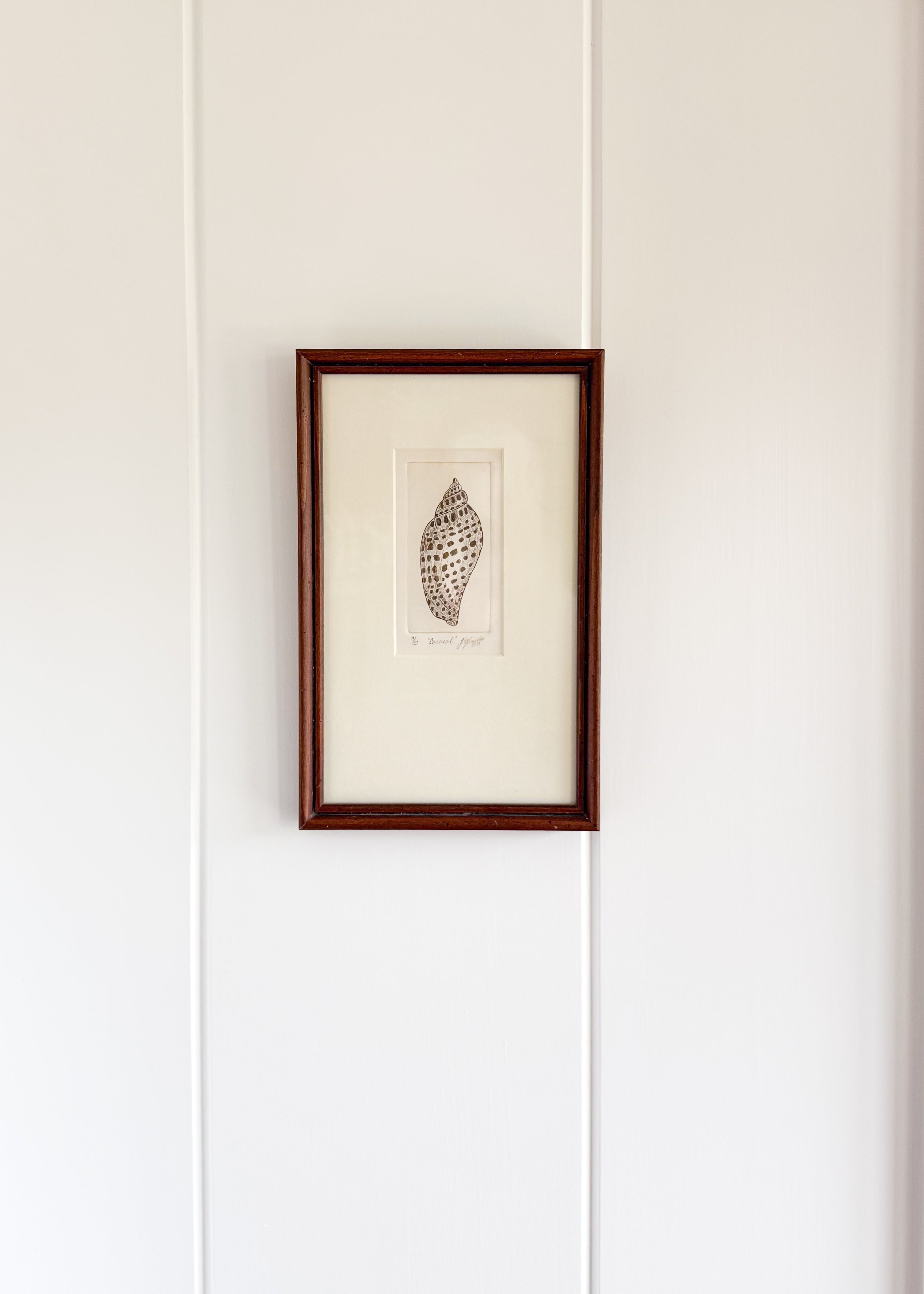 Signed Vintage Shell Print