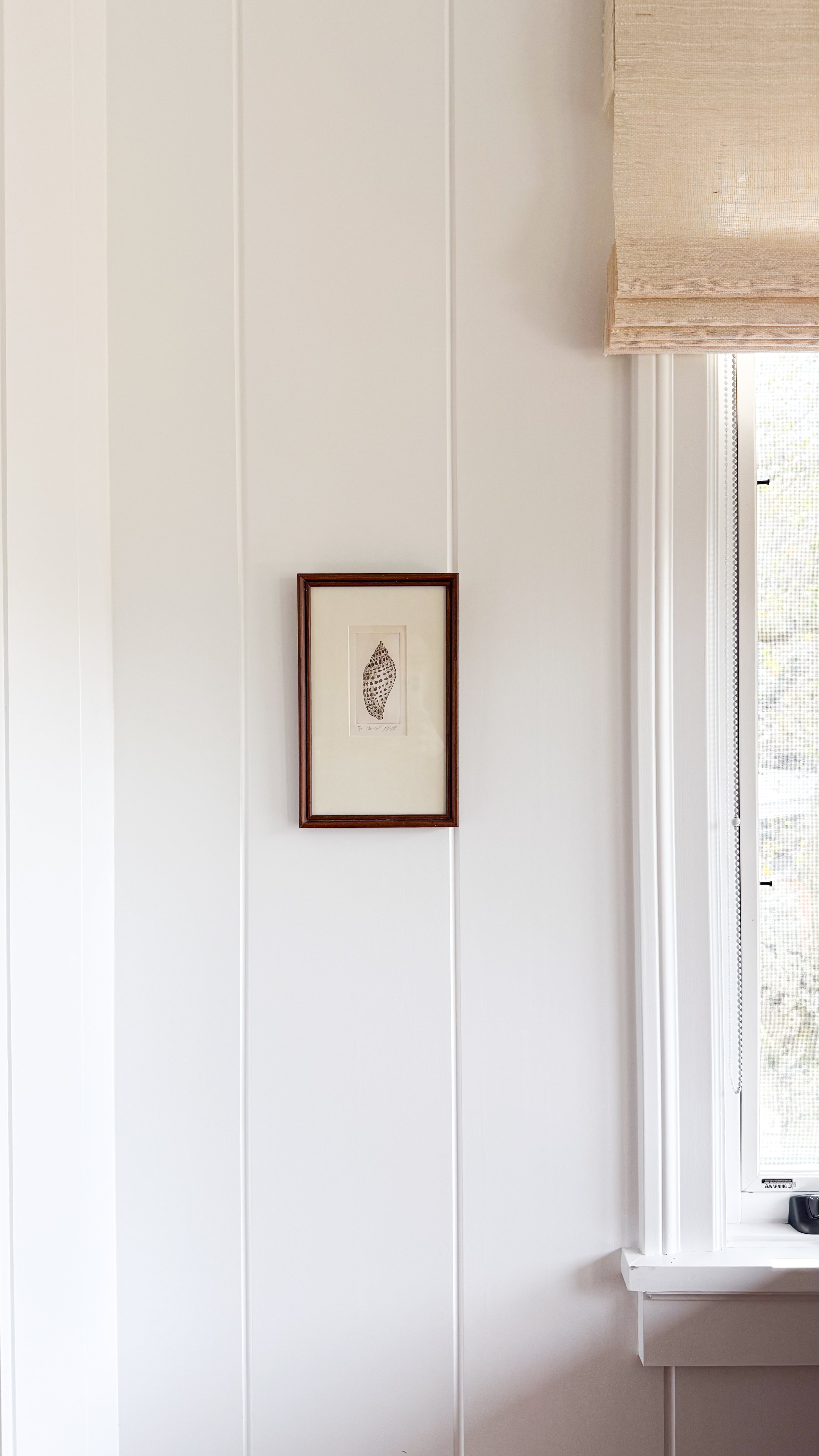 Signed Vintage Shell Print hung up on a white panel wall next to a window, a light beige curtain above the window.
