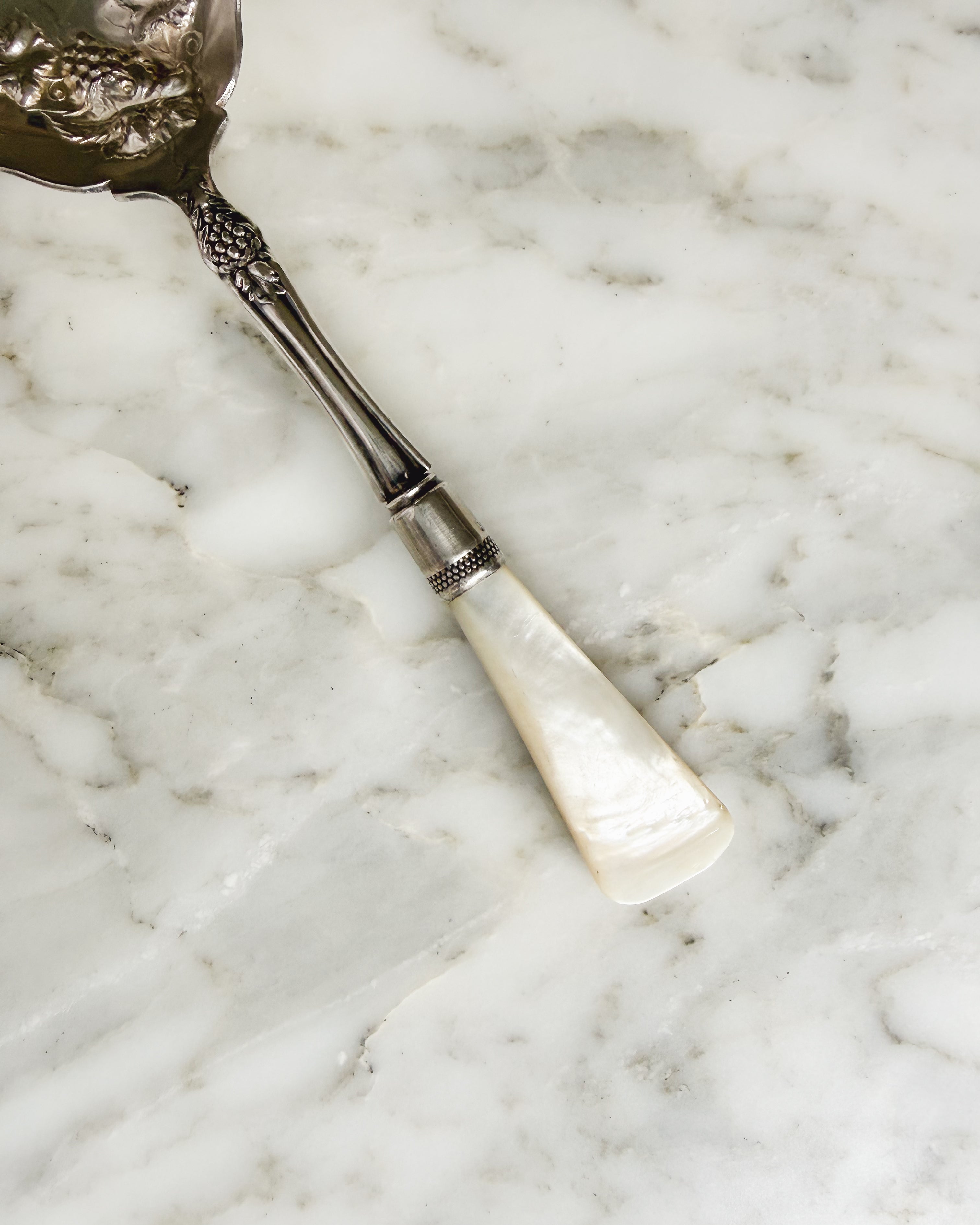 Mother-of-pearl handle, sterling silver collar, and grape motif on antique Edwardian serving spoon.