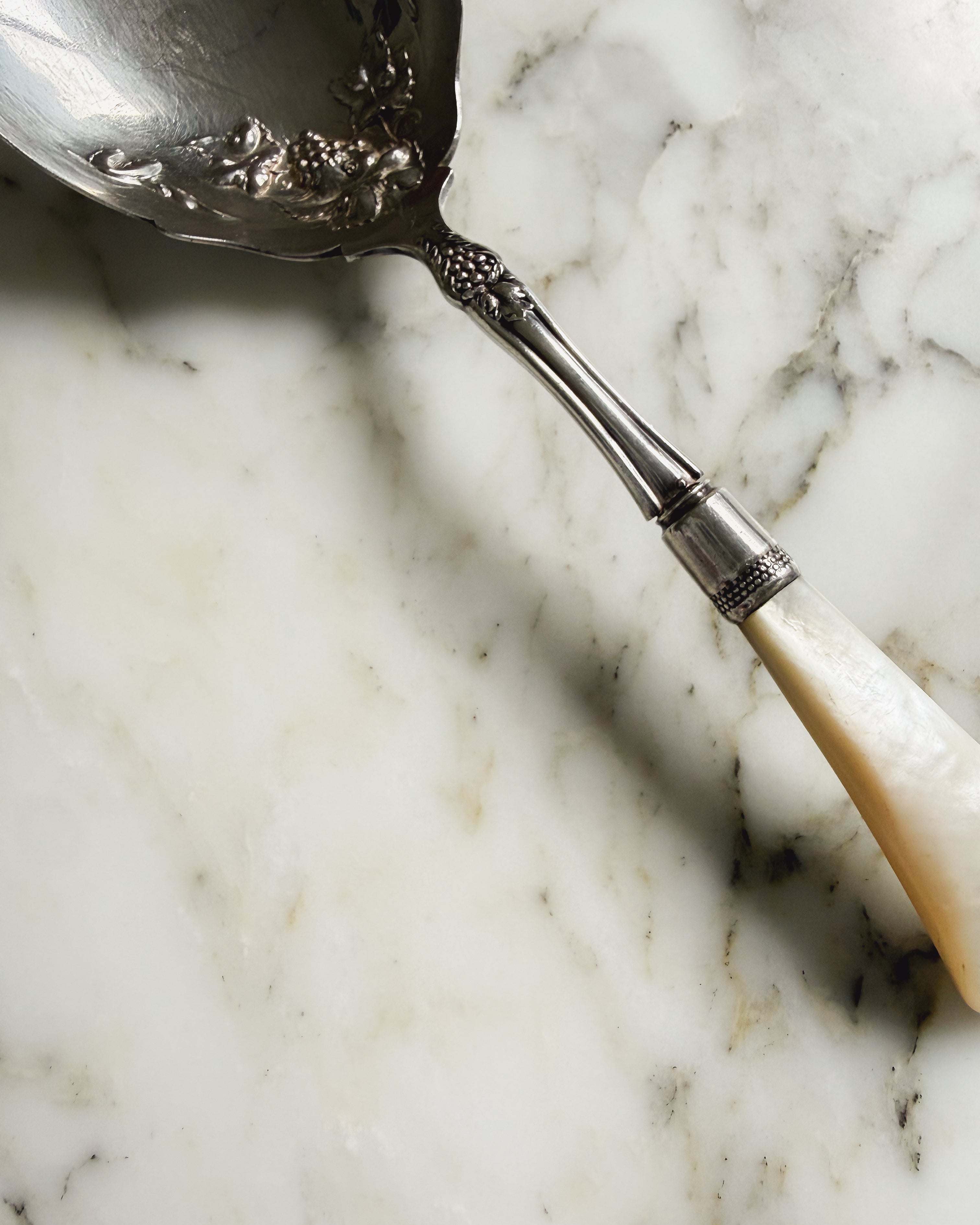 Detail of grape motif, sterling silver collar, and mother-of-pearl handle on antique Edwardian serving spoon.